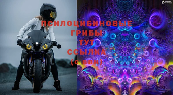 прущие грибы Волосово