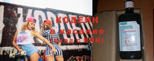ешки Вяземский