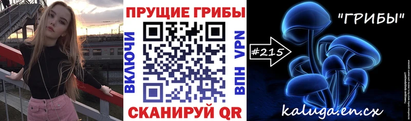 Галлюциногенные грибы Psilocybine cubensis Северодвинск
